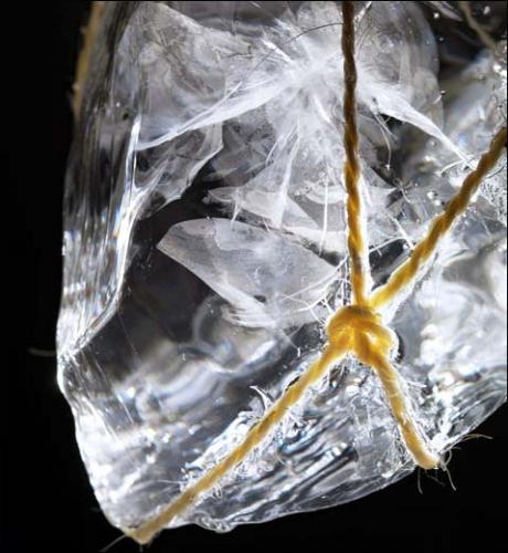 g_Accueil16TomokoSauvage24bTrans